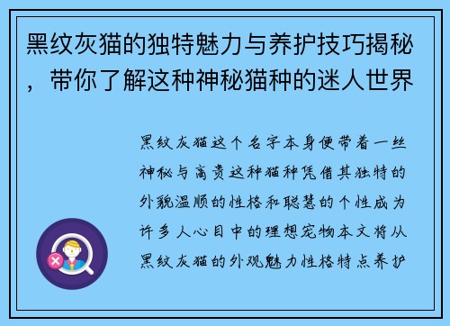 黑纹灰猫的独特魅力与养护技巧揭秘，带你了解这种神秘猫种的迷人世界